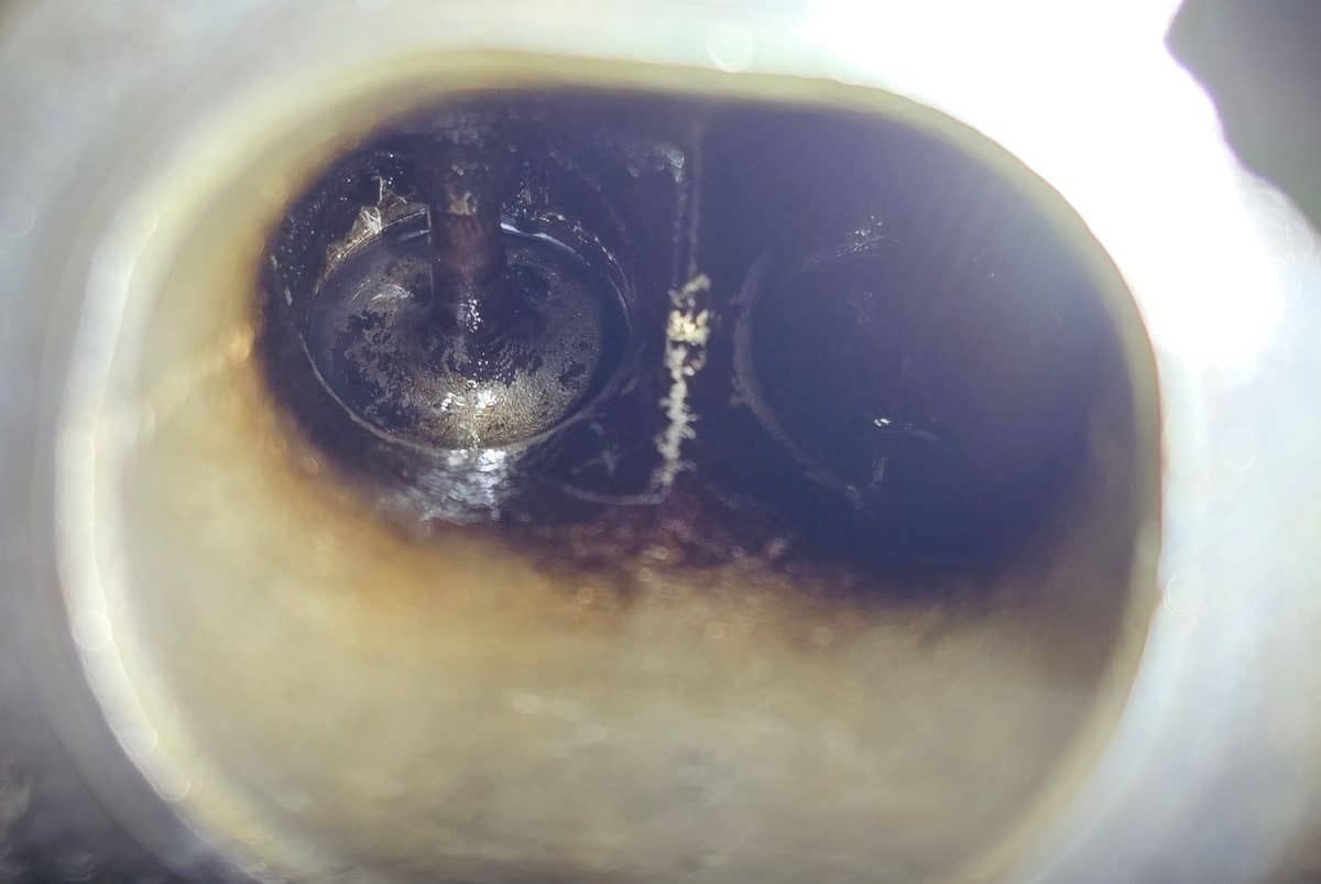 Intake valve after professional induction cleaning at Victoria Transmission and Auto Care